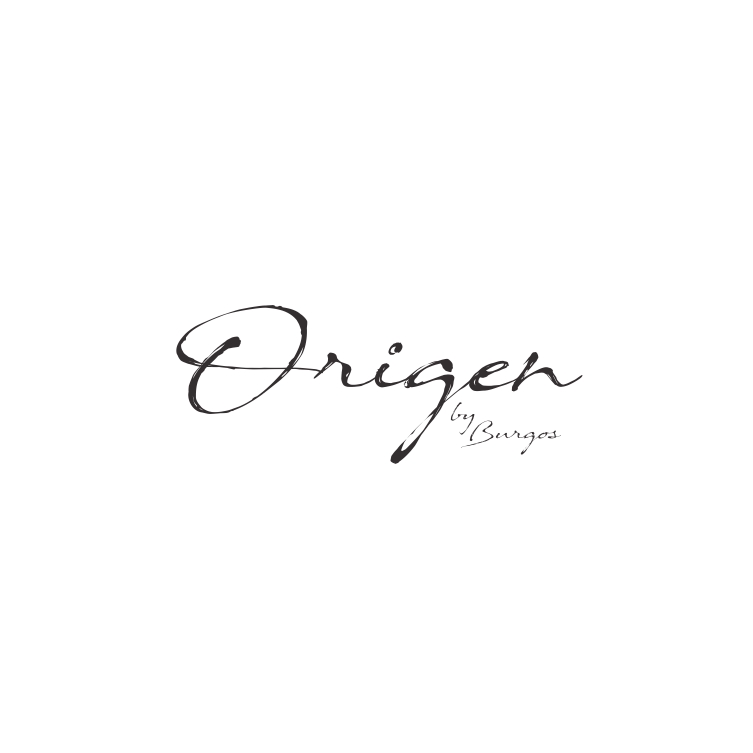 logotipo origen 2.0.1_pages-to-jpg-0001